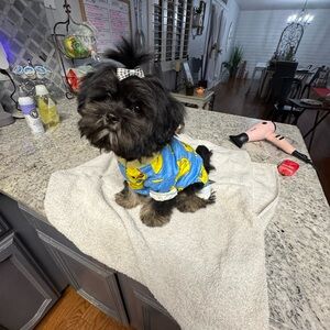 Meet your Posher, Stacey